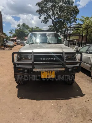 Toyota Land Cruiser 1999 Silver