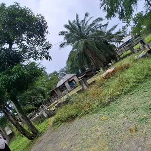 Plot Nice for Industry (Yard) Near Mandela Road