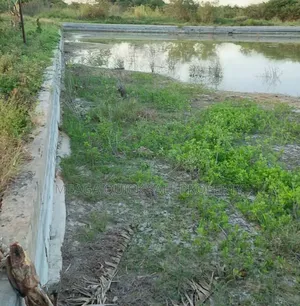 Farm With 325 Acres Including Godowns, Fish Pond for Sale at Mkuranga