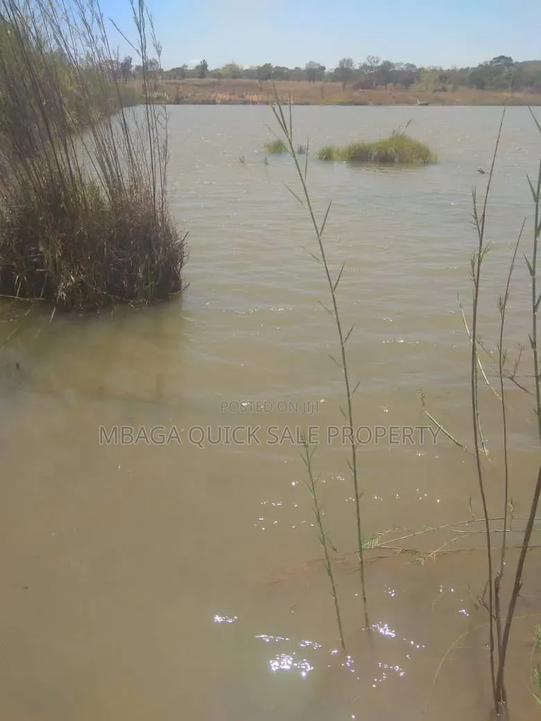 Fishing Pond 14 Acres for Sale at Njombe