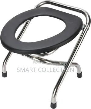 Portable Stainless Steel Potty Seat