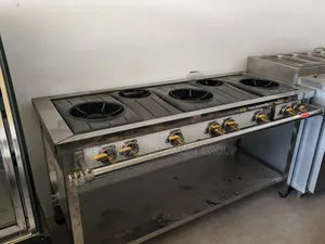 Commercial Gas Cooker