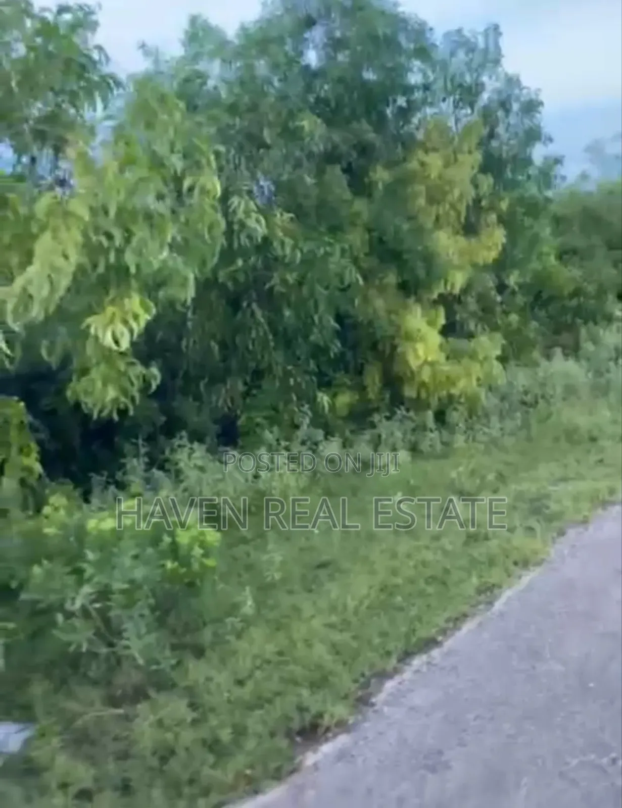 Plot for Sale at Makunduchi Zanzibar