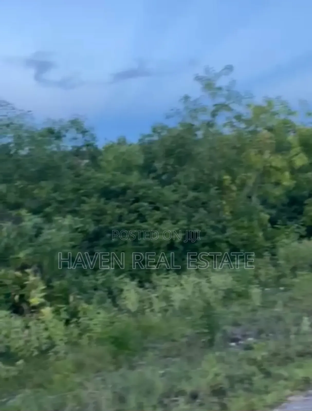 Plot for Sale at Makunduchi Zanzibar