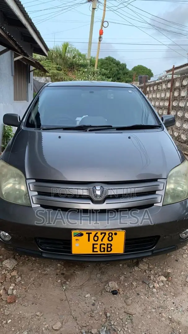 Toyota IST 2004 Gray