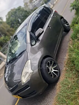Toyota Ractis 2006 Gray