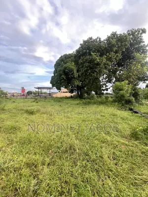 Plot For Sale Cqmt 1400 Bei Million 270 Bunju A