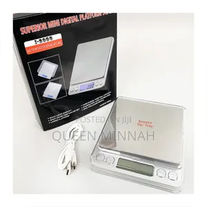 Mini Platform Scale 500g/0.01g