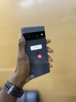 Google Pixel 6 Pro 128 GB Gray