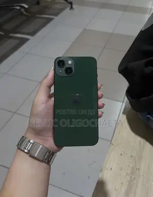 Apple iPhone 13 Mini 256 GB Green