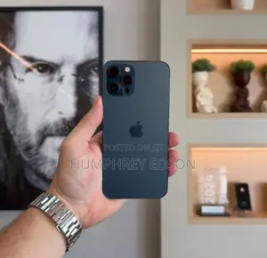 Apple iPhone 12 Pro Max 128 GB Gray