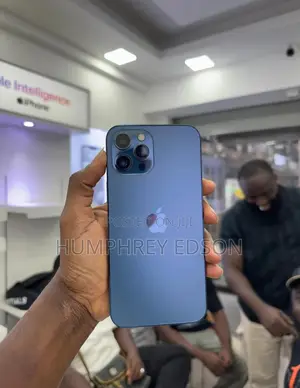 Apple iPhone 12 Pro Max 128 GB Gray