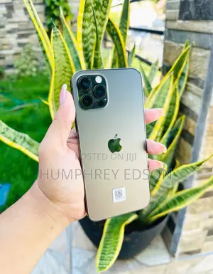 Apple iPhone 12 Pro 128 GB Gray