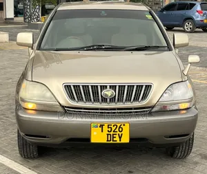 Toyota Harrier 2002 Gold