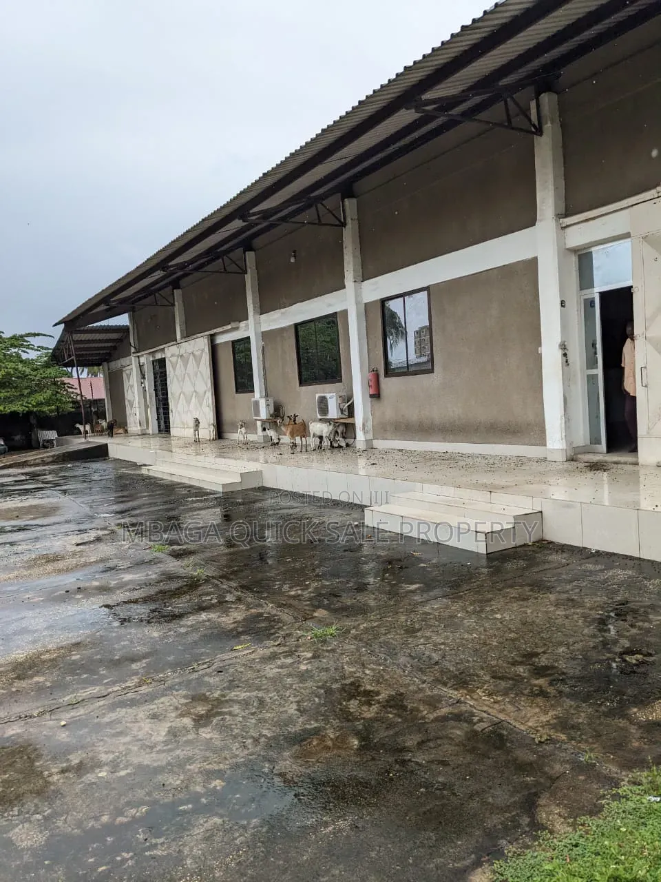 Godown and Office Area SQM 750 for Rent Usd 5 Per SQM Located at Sinza