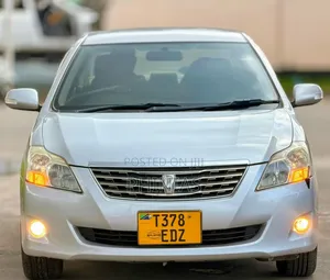 Toyota Premio 2009 Silver