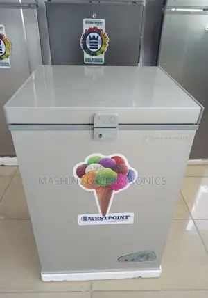 100 Liters Westpoint Freezer