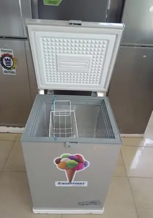100 Liters Westpoint Freezer
