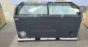 539-Liters Europe 2-Door Showcase / Display Chest Freezer