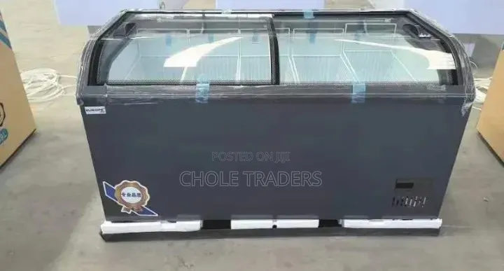 539-Liters Europe 2-Door Showcase / Display Chest Freezer