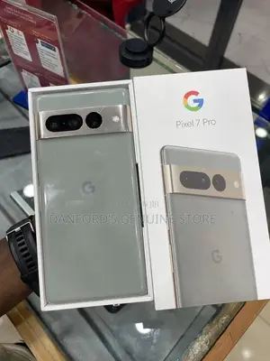 Google Pixel 7 Pro 256 GB Gray