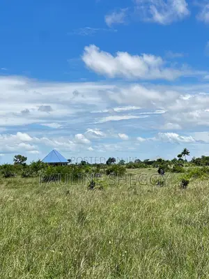 Buyuni Kigamboni