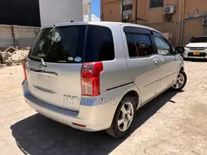 Toyota Raum 2010 Silver