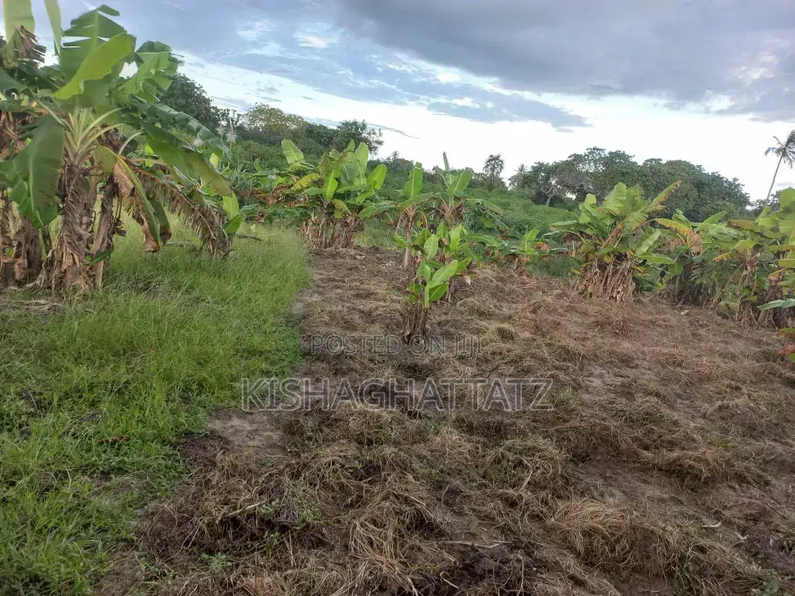 Shamba Linauzwa