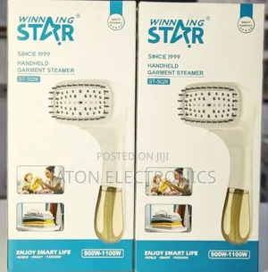Winning Star Steamer Iron 1100w