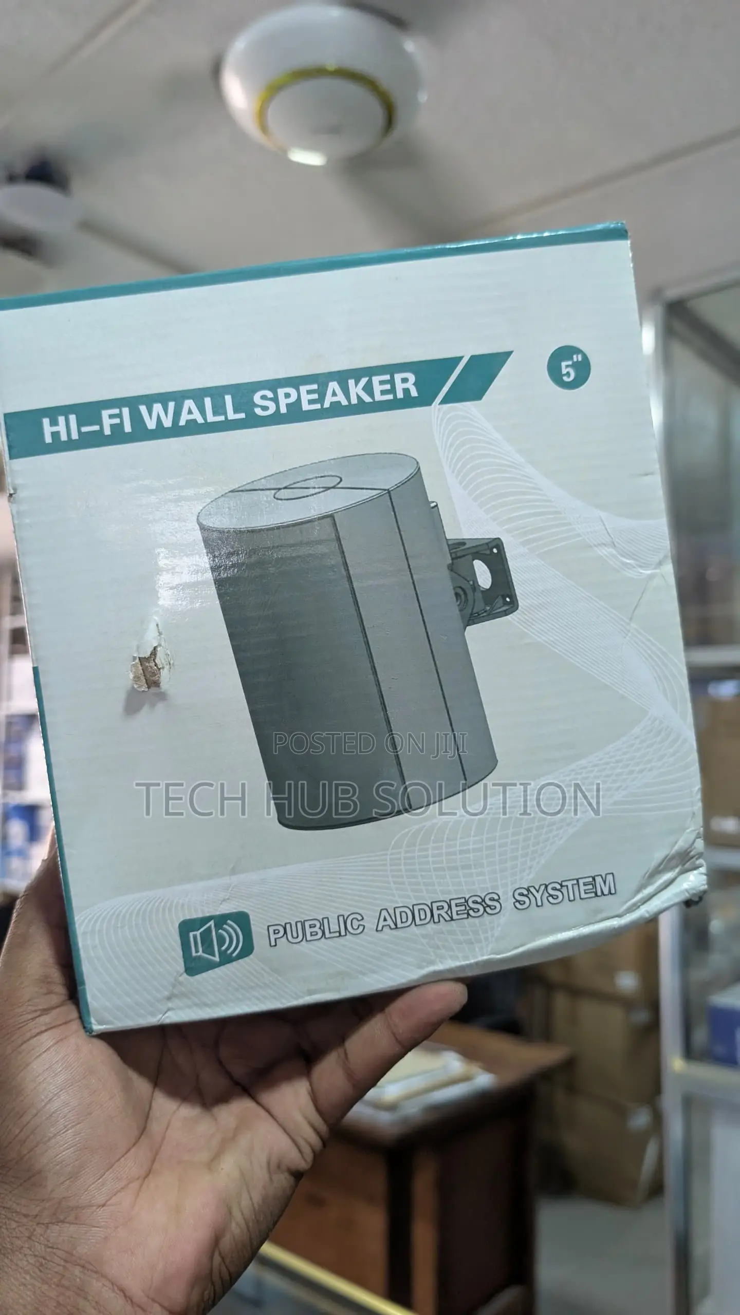 Hi-Fi Wall Mounted Speaker