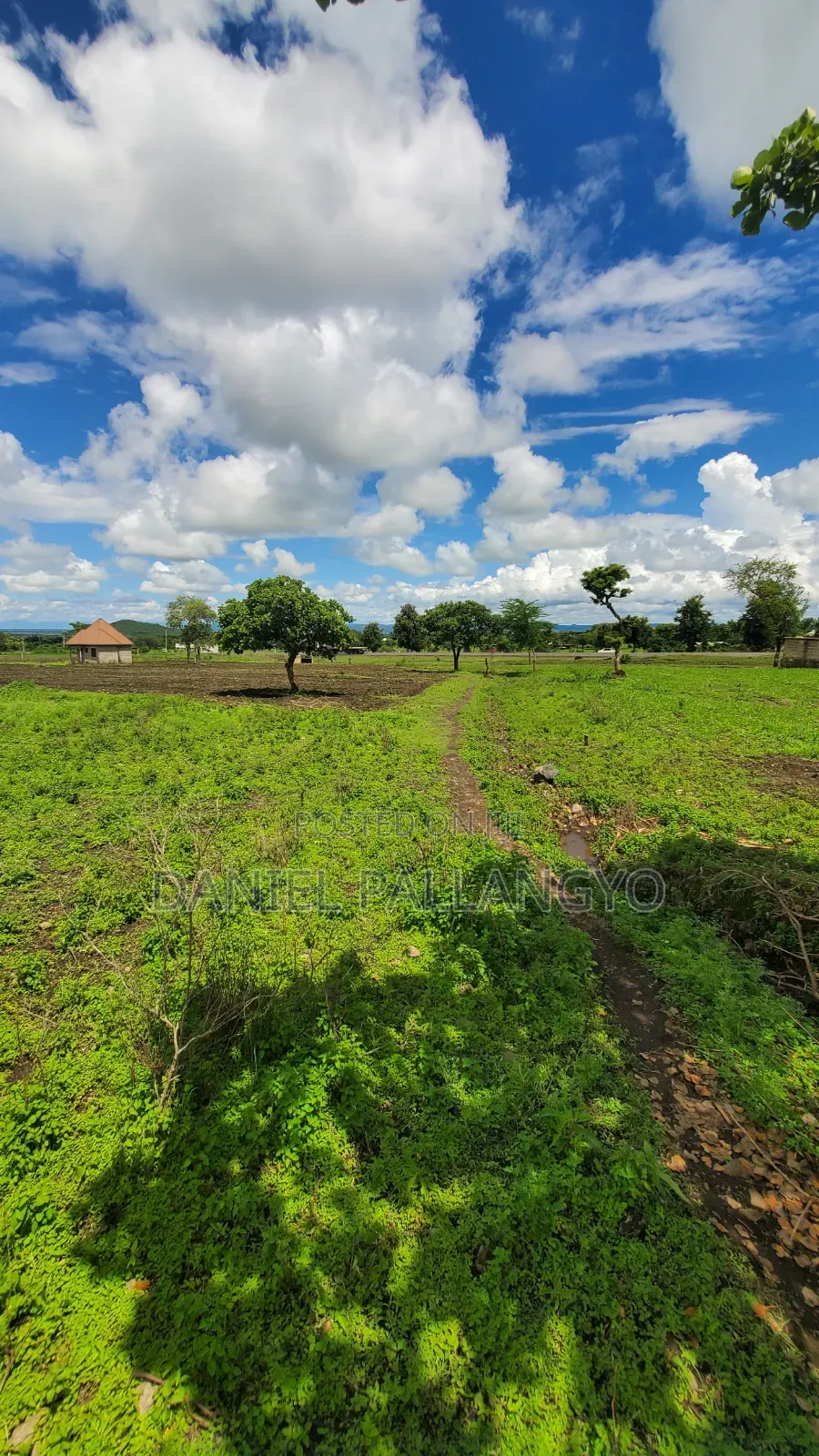 Viwanja Bora East Africa Arusha