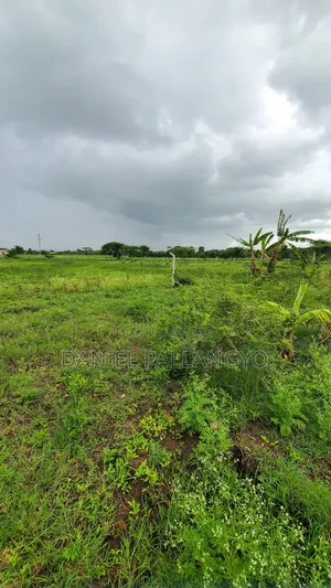 Viwanja Vya 2.5m East Africa Road Arusha Vimerudi