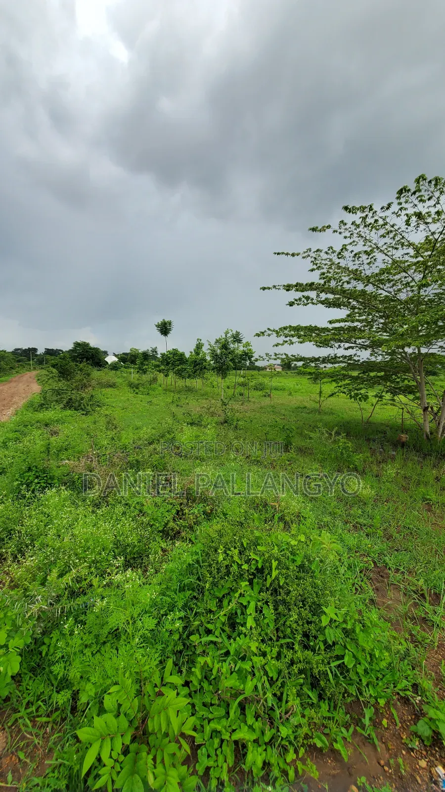 Viwanja Vya 2.5m East Africa Road Arusha Vimerudi