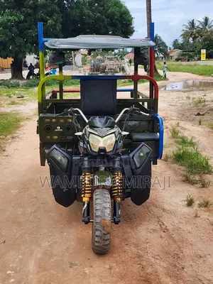 New Bajaj Pulsar 250 2025 Gray