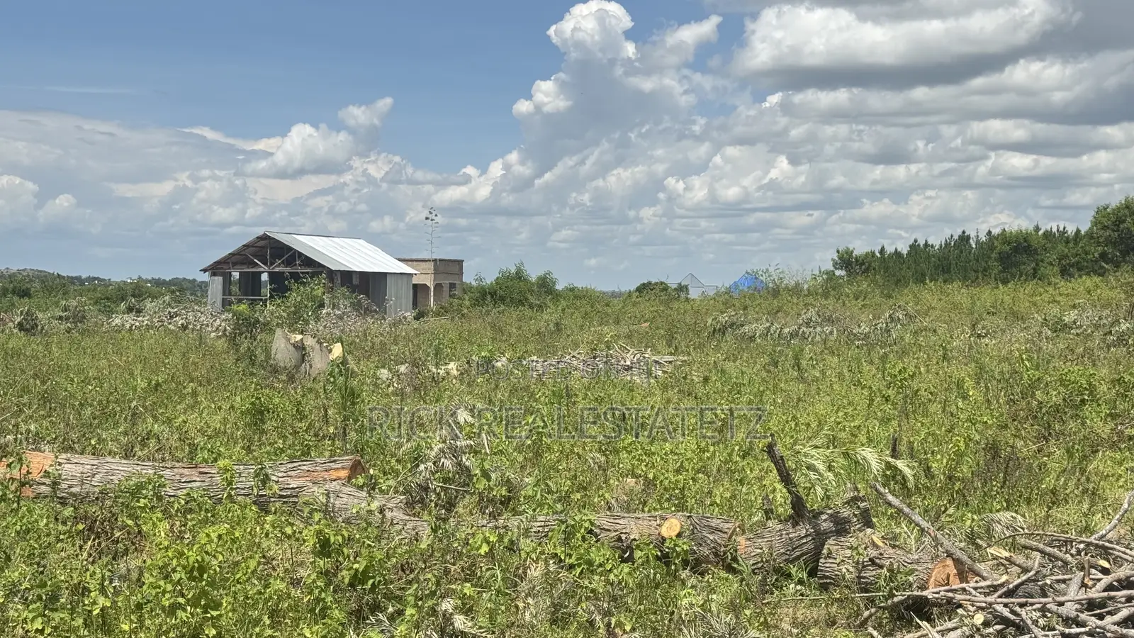Jumla Ya Viwanja (27) Vinauzwa Mwanza - Kisesa