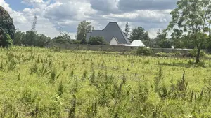Jumla Ya Viwanja (27) Vinauzwa Mwanza - Kisesa