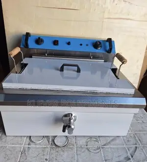 20litres Commercial Electric Fryer