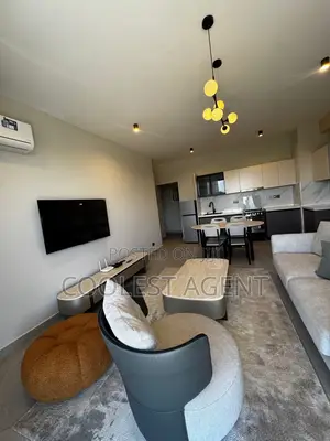 Furnished 2bdrm Apartment in Coolest Estate, Masaki for rent