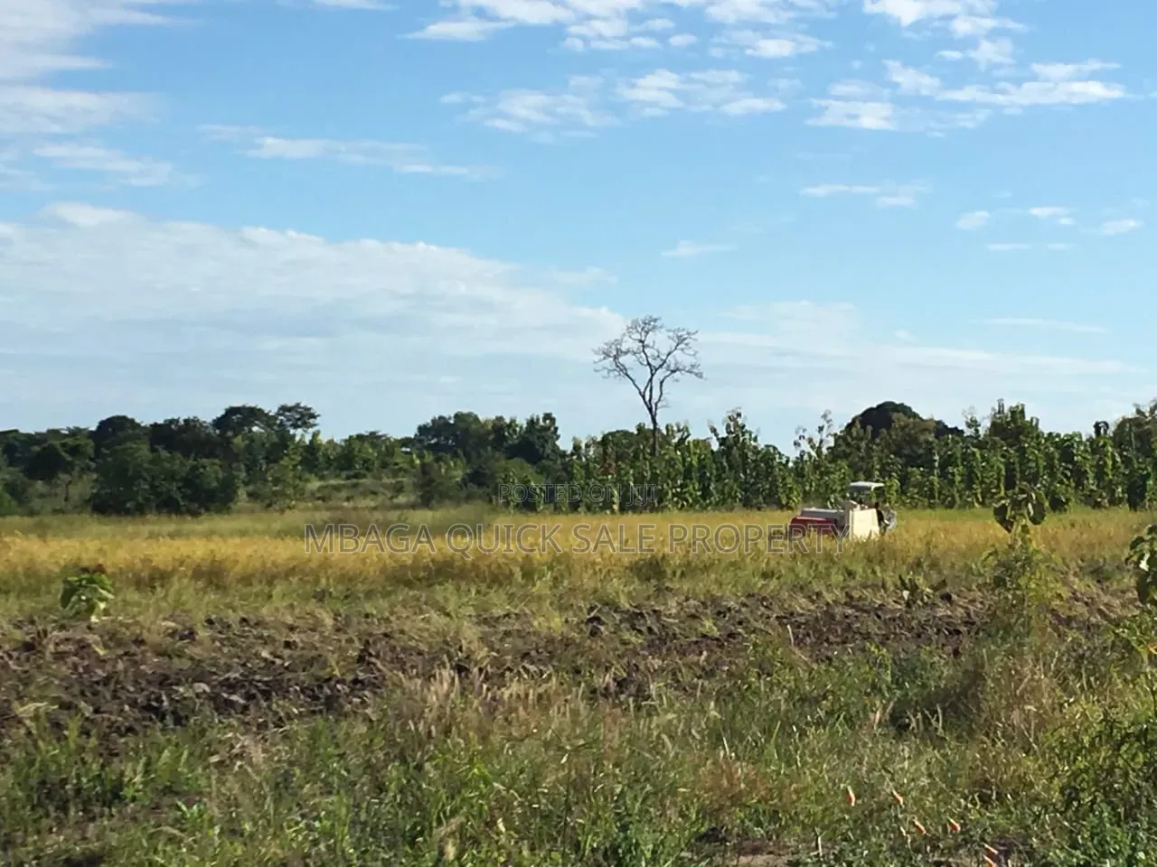 Farm With 374.7 Acres for Sale at Ifakara Mikumi