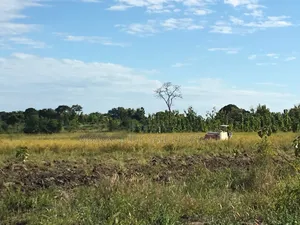 Farm With 374.7 Acres for Sale at Ifakara Mikumi