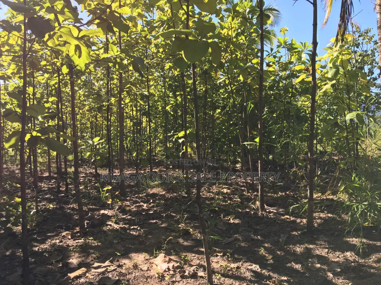 Farm With 374.7 Acres for Sale at Ifakara Mikumi