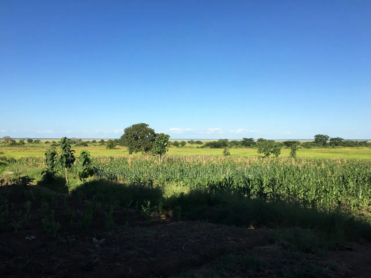 Farm With 374.7 Acres for Sale at Ifakara Mikumi