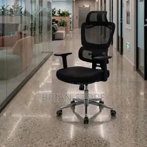 The Modern Ergonomic Chair With Lumbar Support