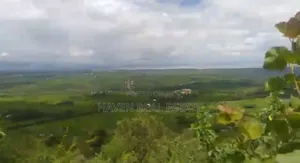 *Ekari 5 View Ziwa Manyara Linauzwa Kilimatembo-Madukani, Rhotia*