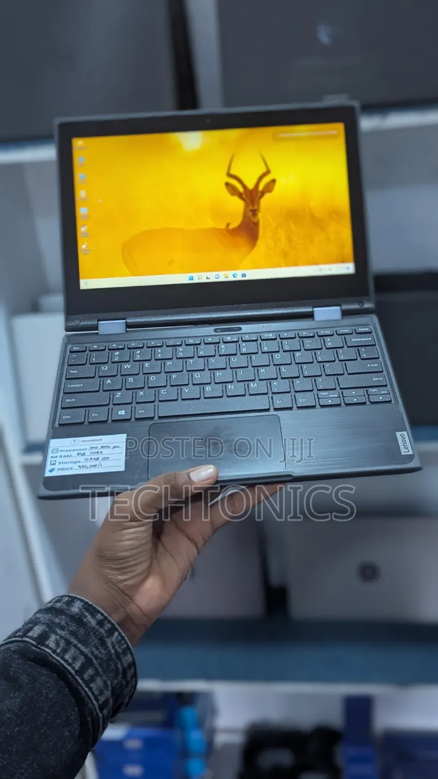 Laptop Lenovo 300e 8GB AMD SSD 128GB