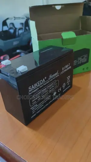 Kid Car Battery