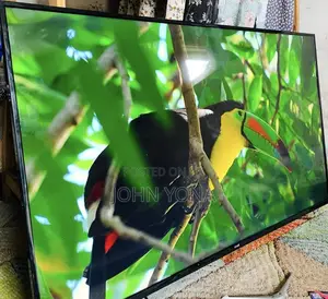 Evvoli Inch 55 Smart Google Tv