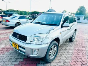 Toyota RAV4 2004 Silver