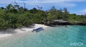 *48 Acres Beach Plot for Sale in Vikunguni Island, Pemba*