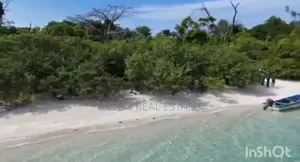 *48 Acres Beach Plot for Sale in Vikunguni Island, Pemba*